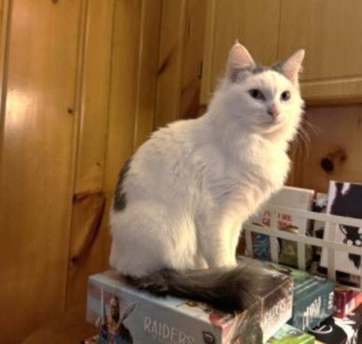 Photo of Lilly