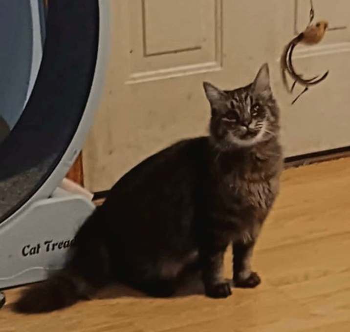 Photo of Tinkerbelll