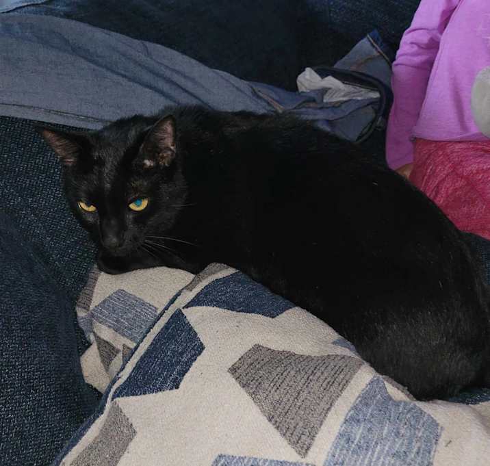 Photo of Ezra