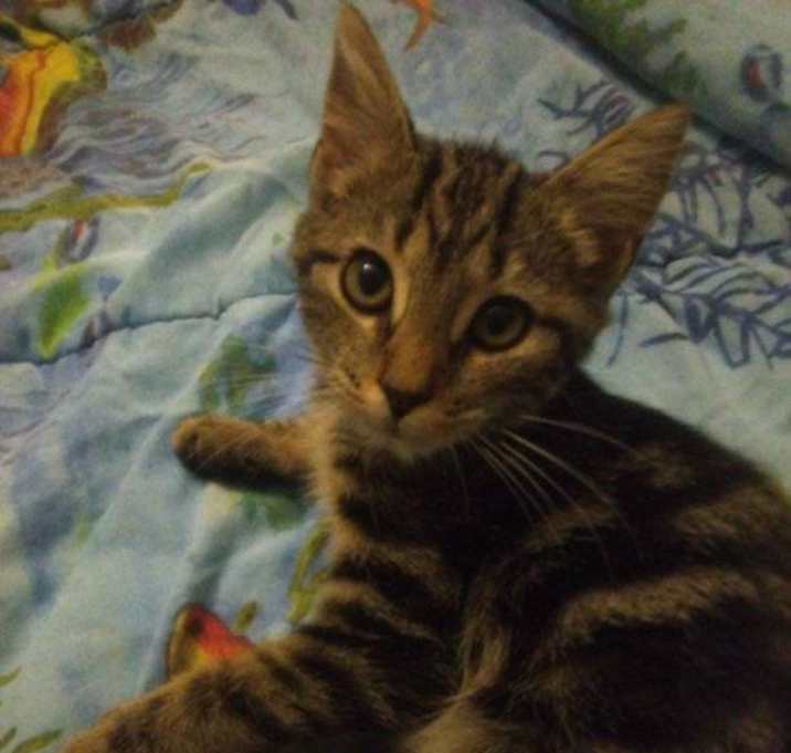 Photo of Clyde
