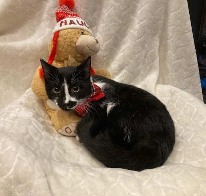 Photo of Bernard