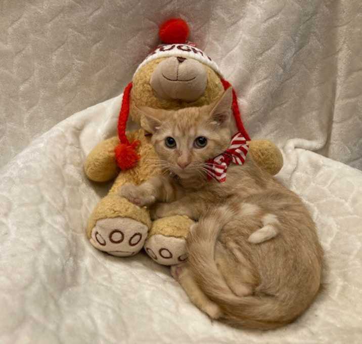 Photo of JuJu