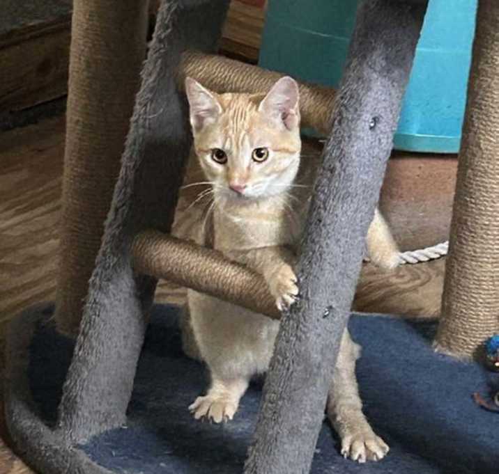 Photo of Leo Urgent