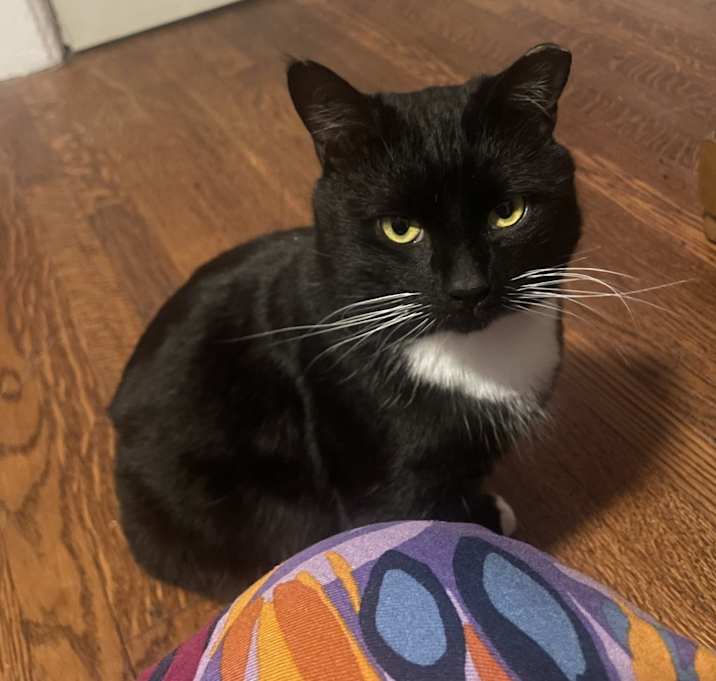Photo of Danito