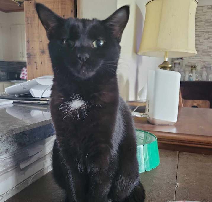 Photo of Ceelee