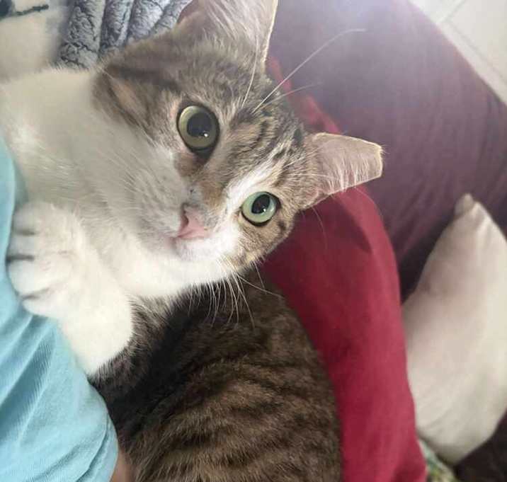 Photo of Winston