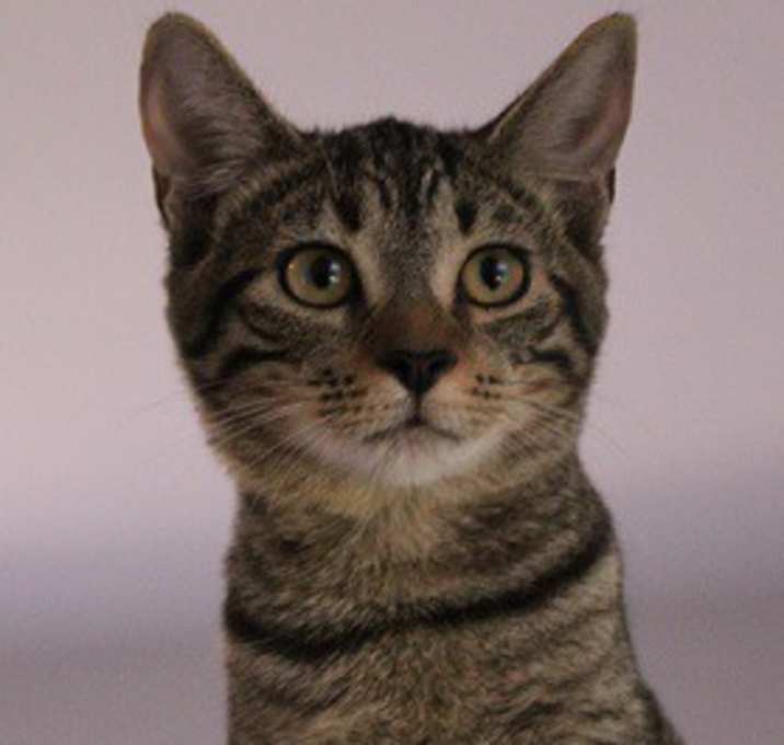 Photo of Wilma