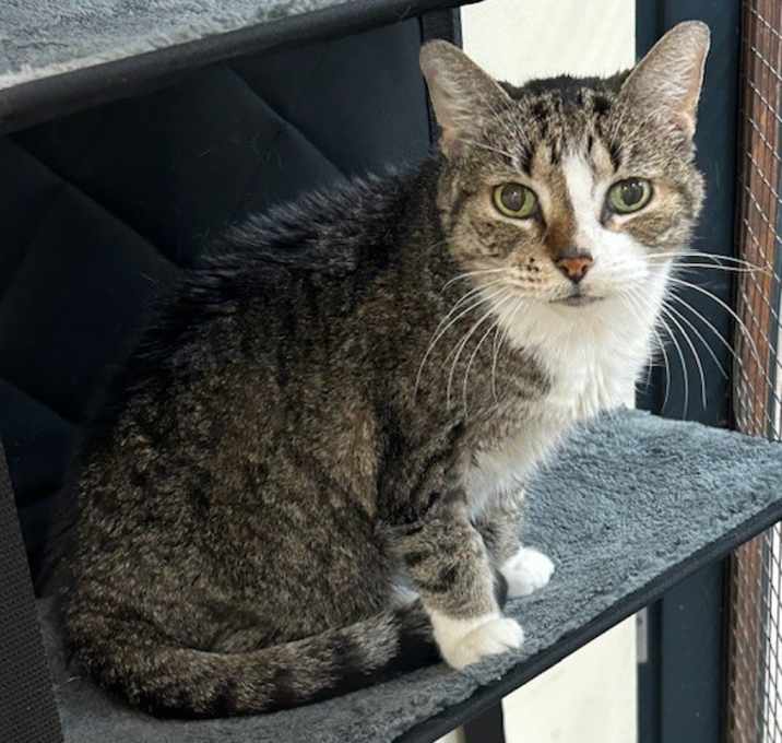Photo of Willow