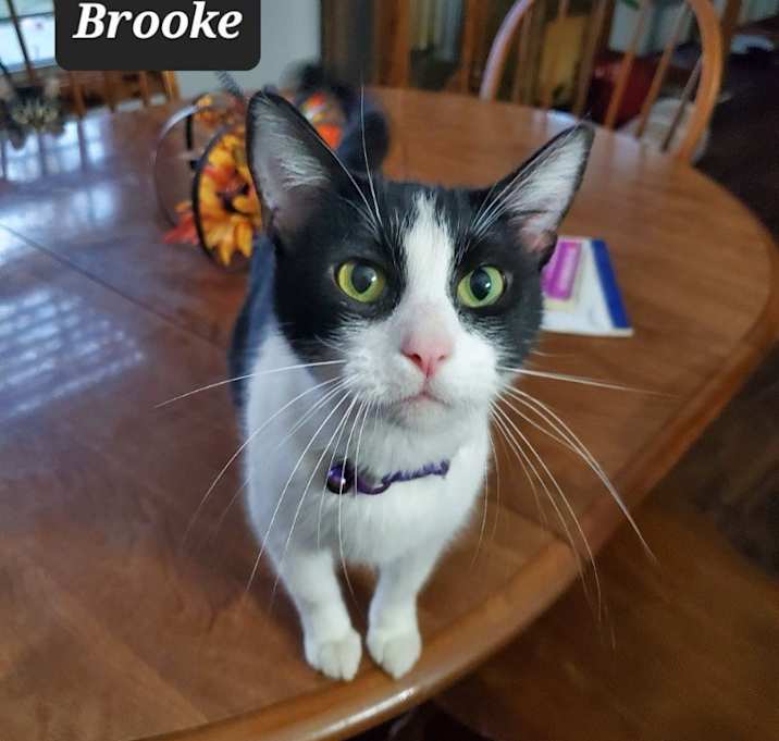 Photo of Brooke