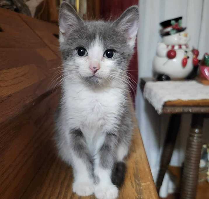 Photo of Morgan