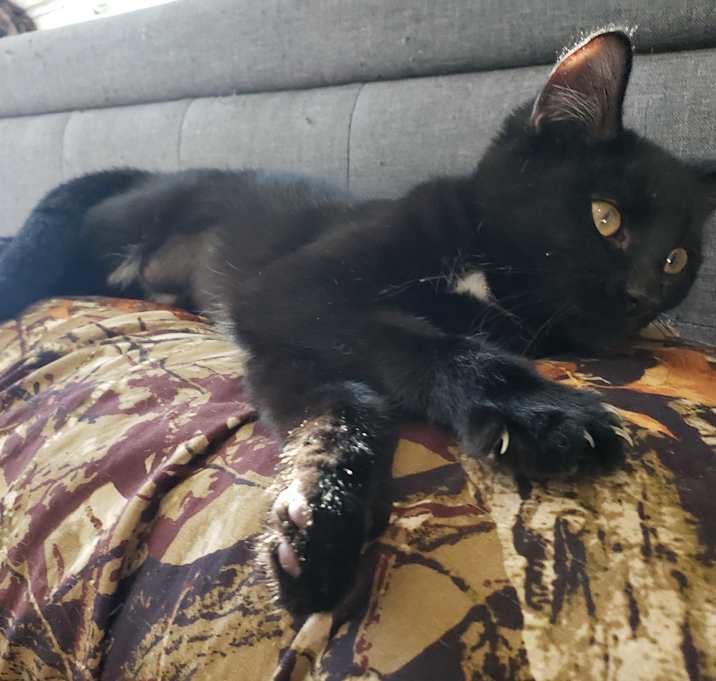 Photo of Elara