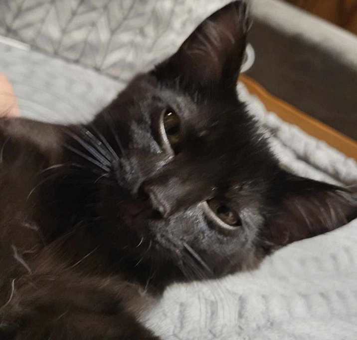 Photo of Wednesday