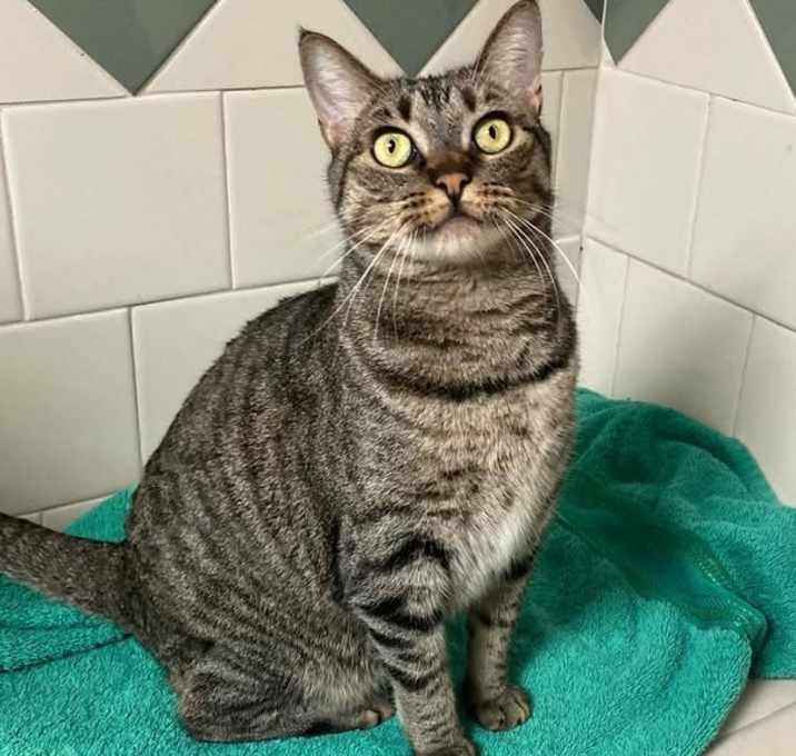 Photo of Elsa