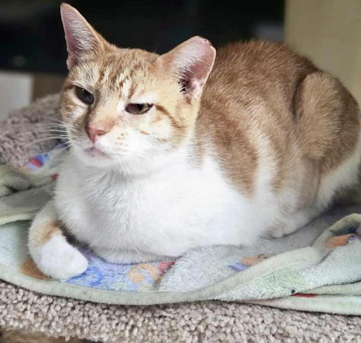 Photo of MeMaw