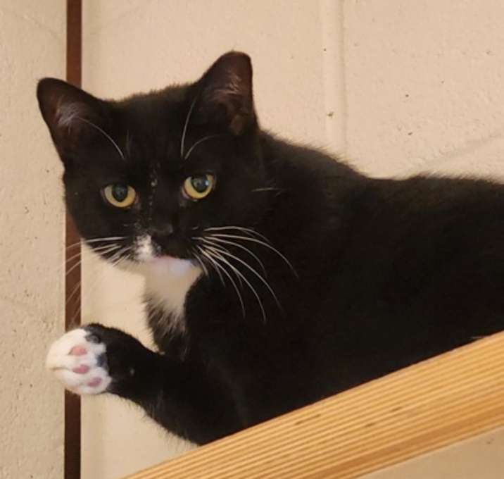 Photo of Jubilee