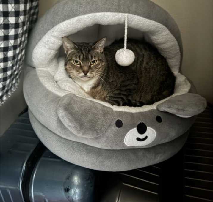 Photo of June