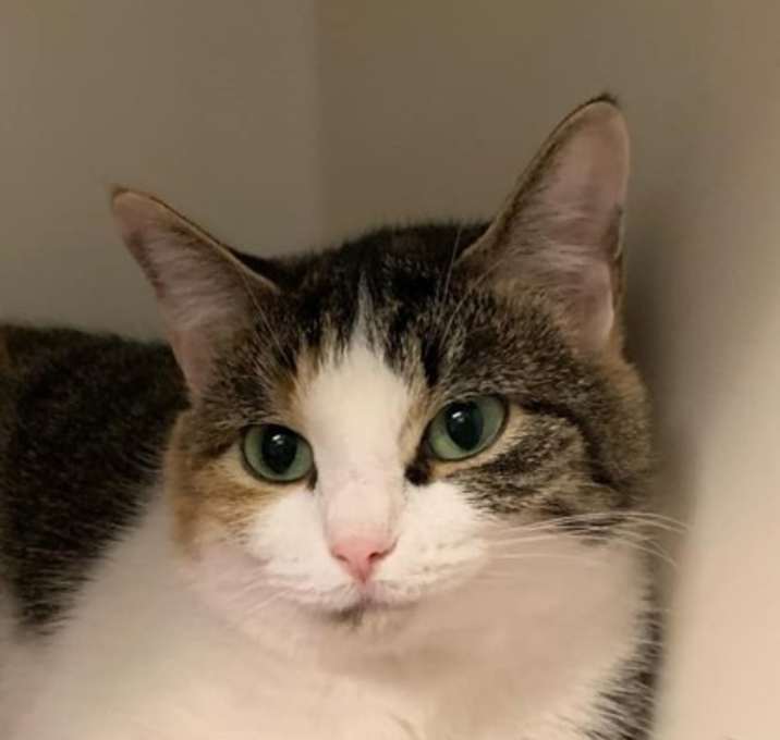 Photo of Daisey