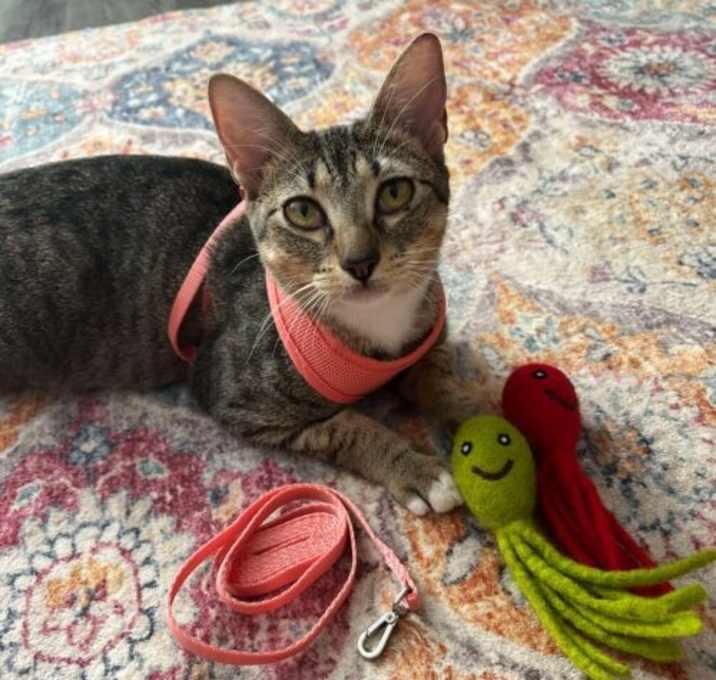 Photo of Charity