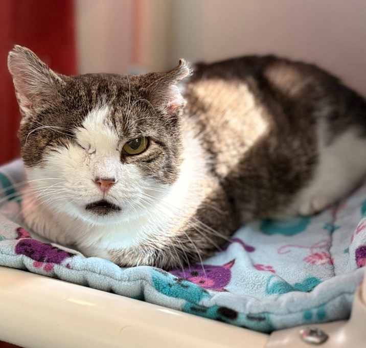 Photo of Vito