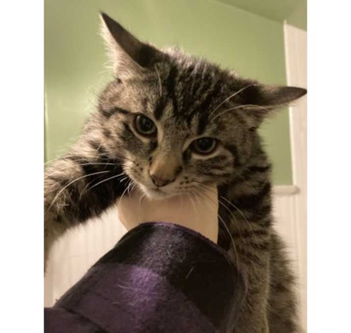 Photo of Keanu