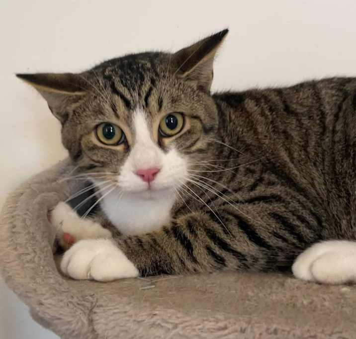 Photo of Sweetie