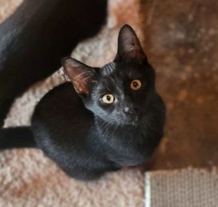 Photo of Hermes