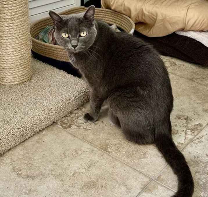 Photo of Anabel