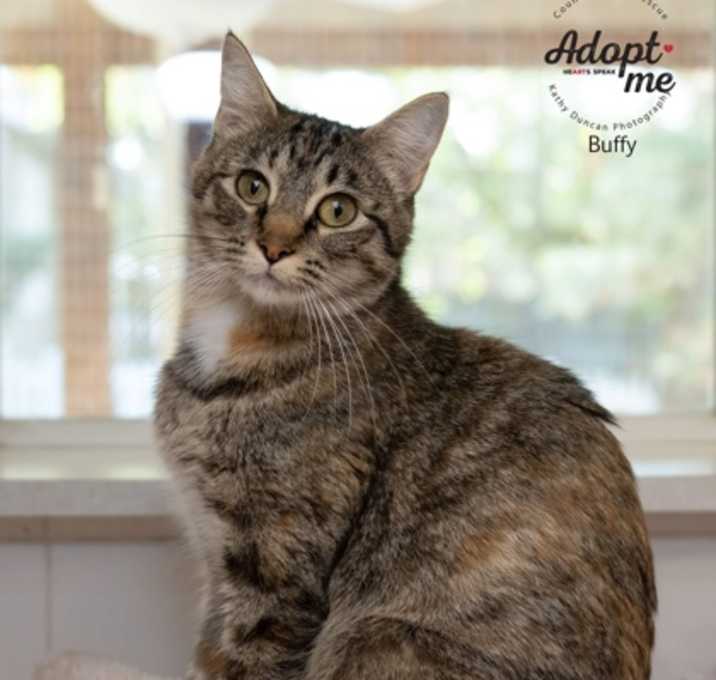 Photo of Buffy