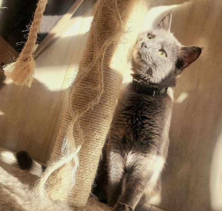 Photo of Jingle Bell