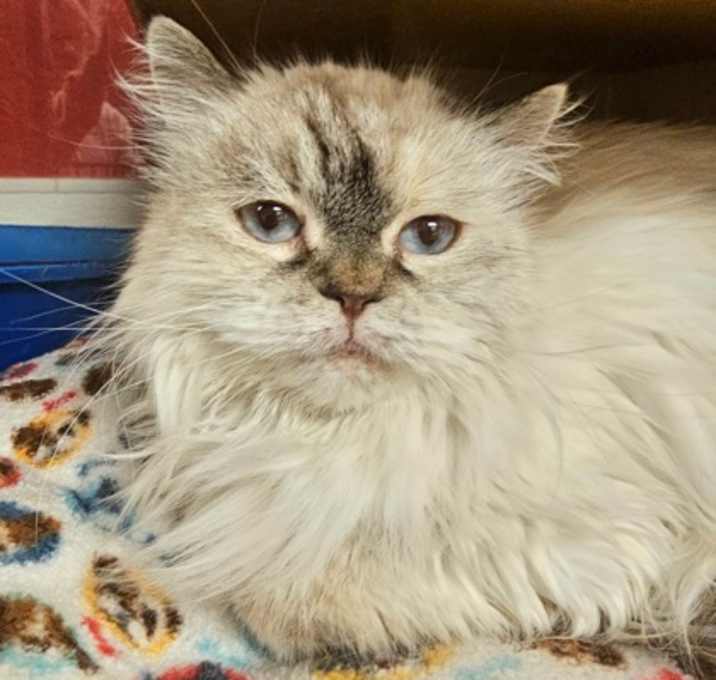 Photo of Clarice