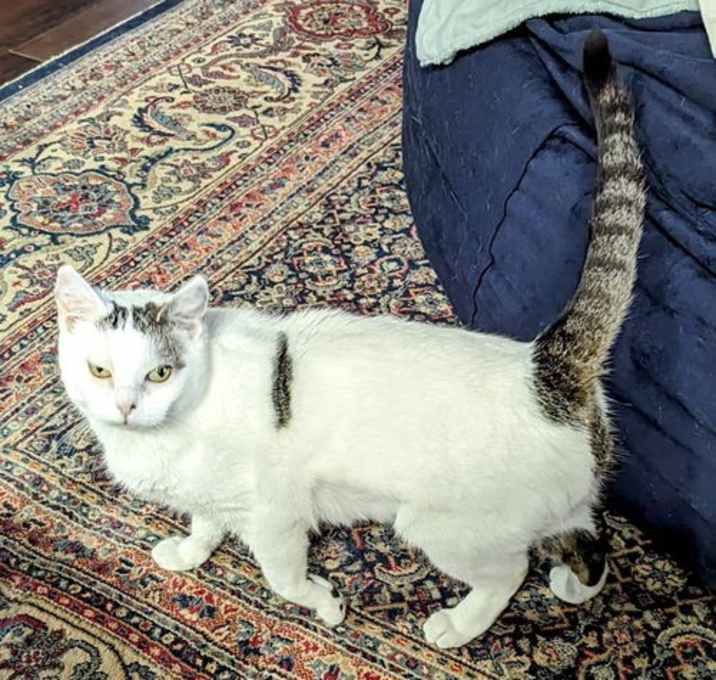 Photo of Abigail