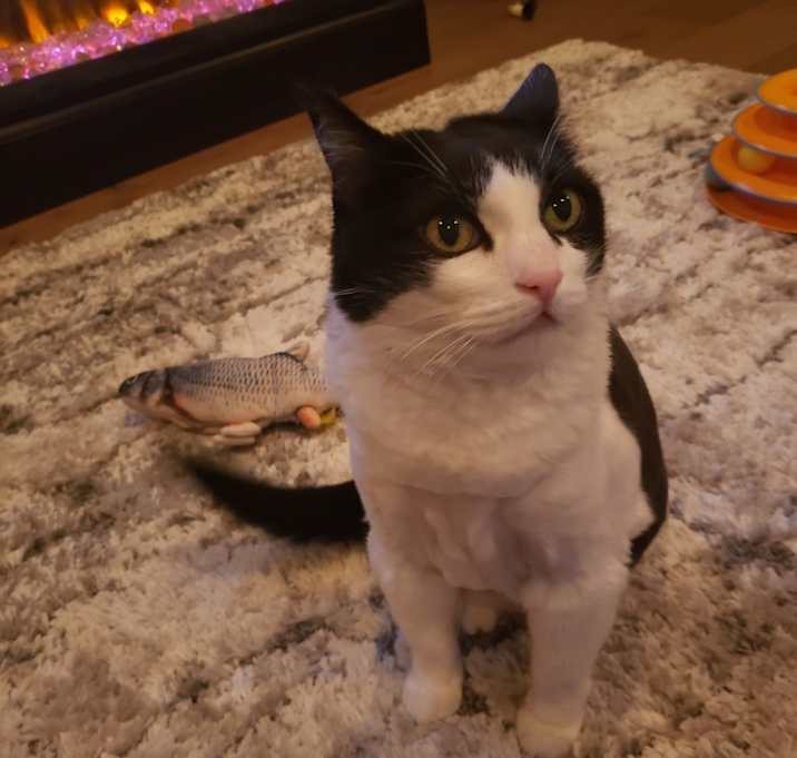 Photo of Jude