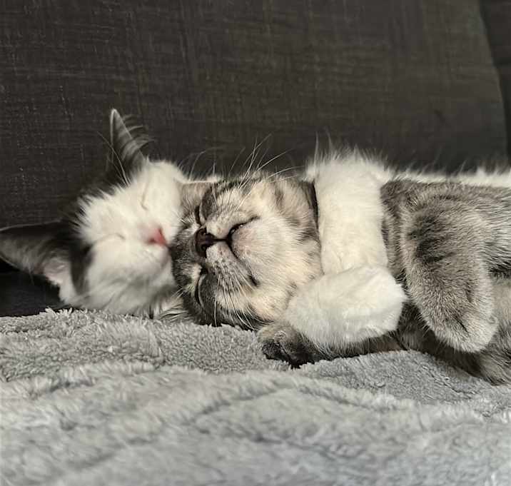 Photo of Tara & Calcifer