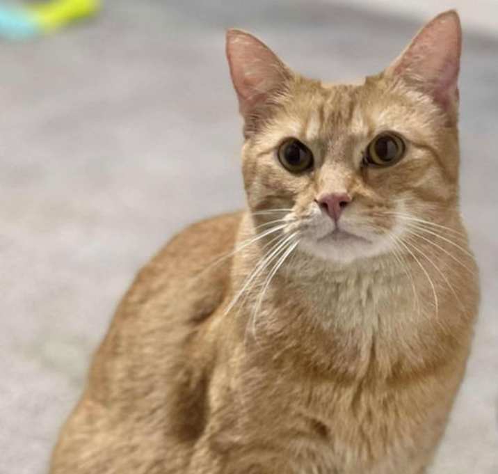 Photo of TWIX