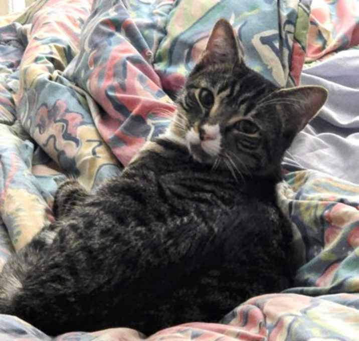 Photo of Charlie