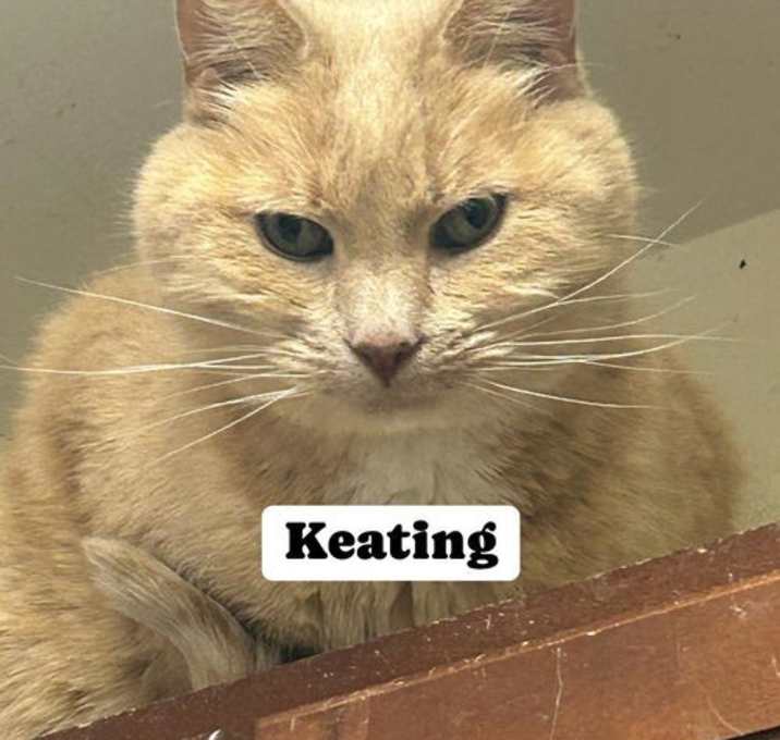 Photo of Keating