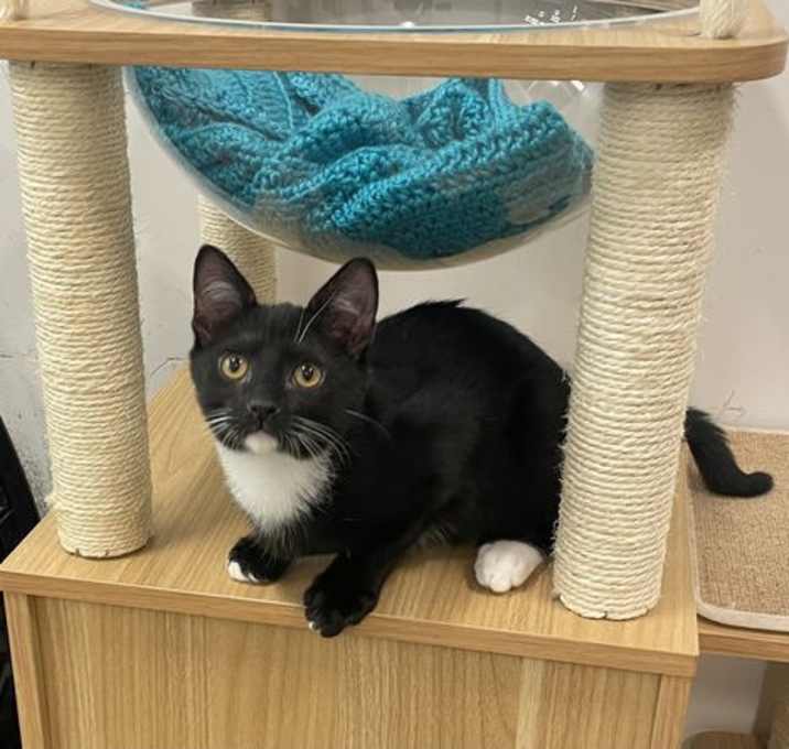Photo of Spooky