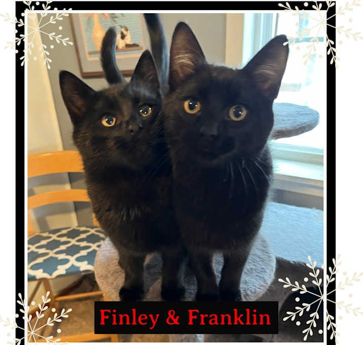 Photo of Finley & Franklin-COURTESY