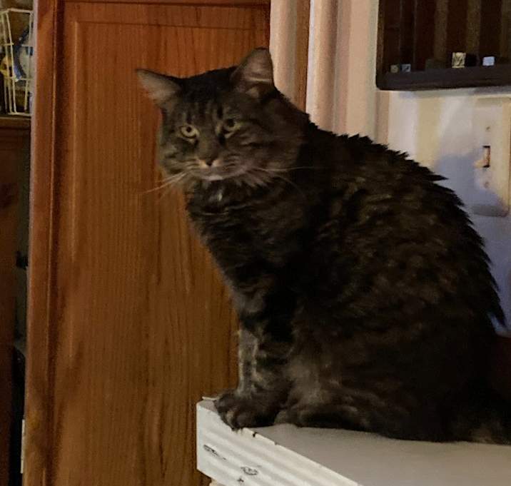 Photo of Sugar - Courtesy Post
