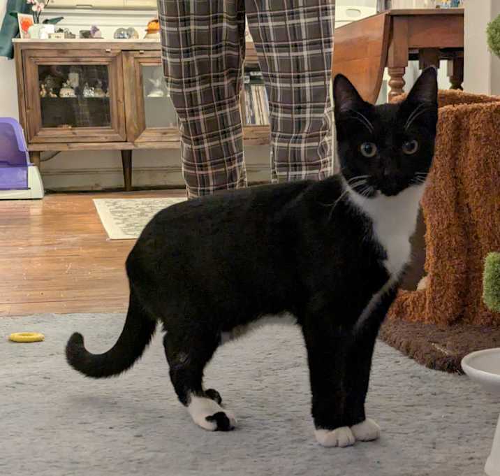 Photo of Rosie