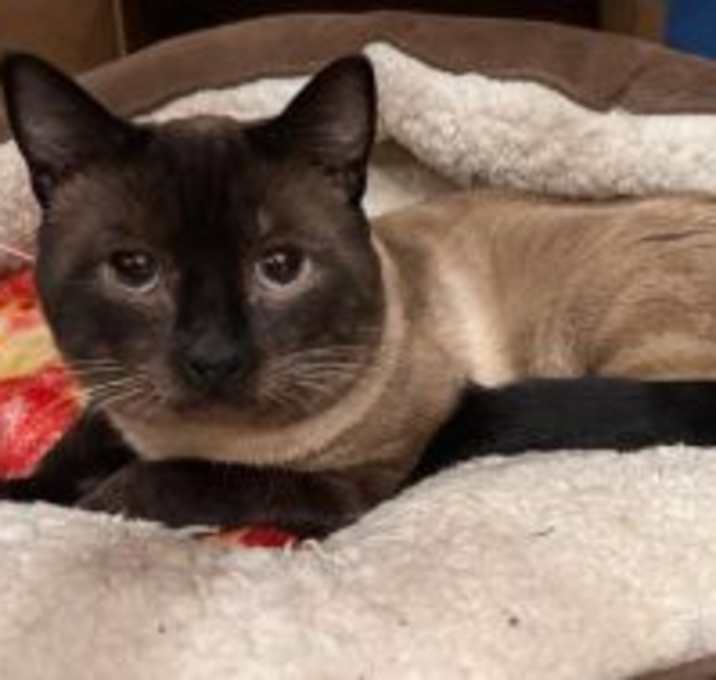 Photo of George