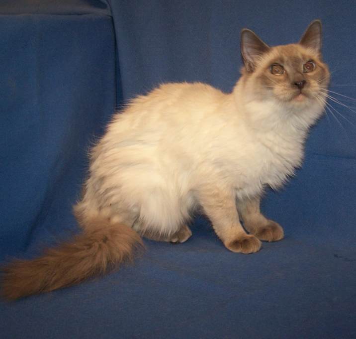 Photo of K-Julep-Chong