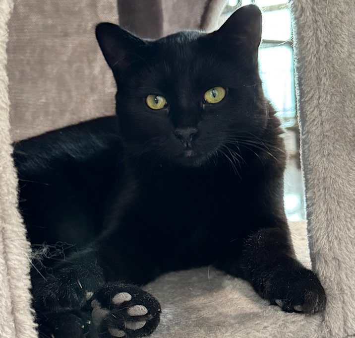 Photo of Lenora