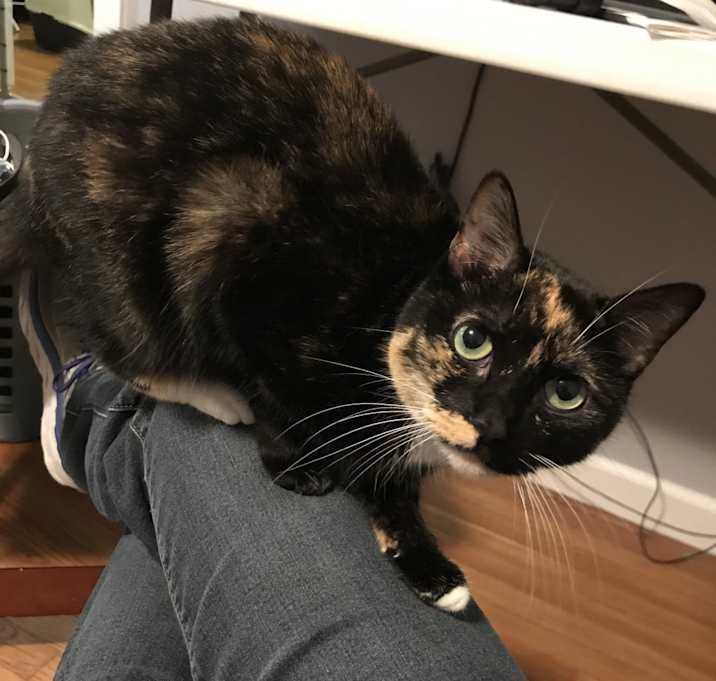 Photo of Lucy