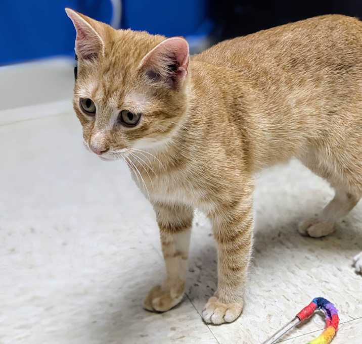 Photo of Tater