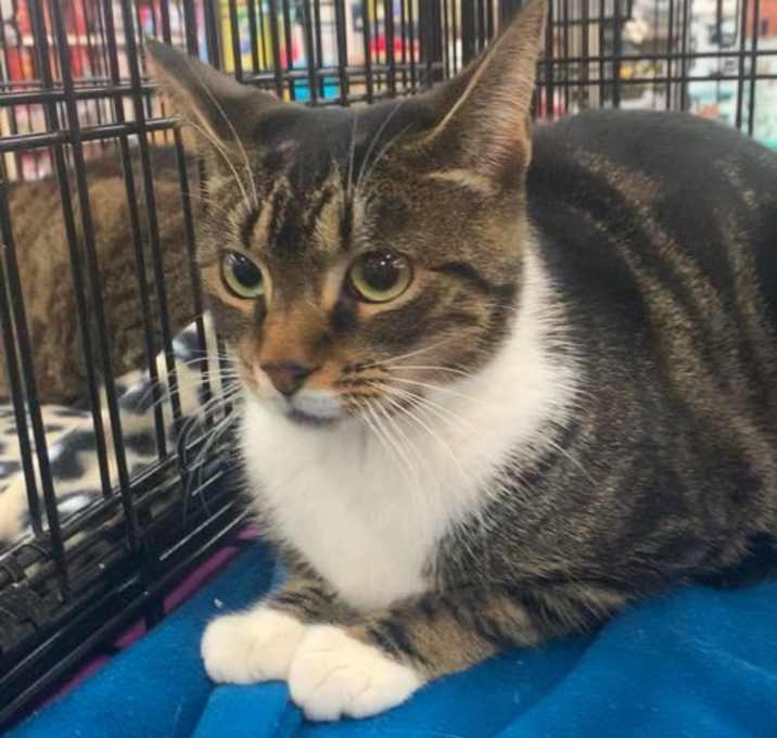 Photo of Munchkin