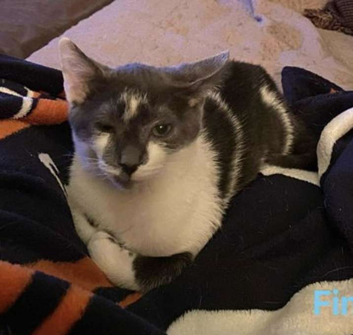Photo of Finn