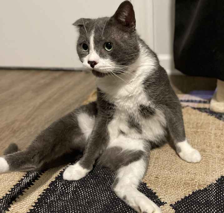 Photo of Freddie