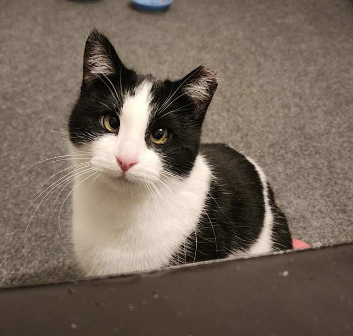 Photo of Dottie