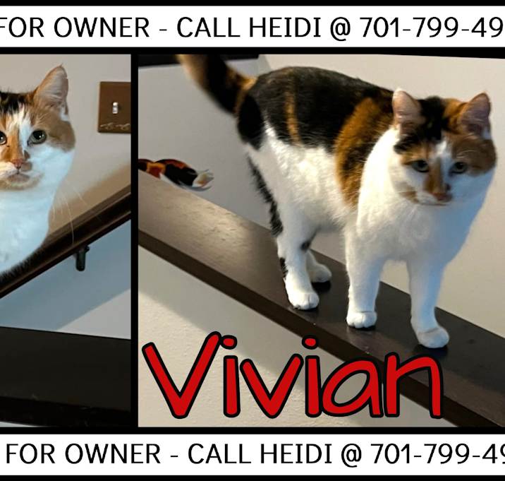 Photo of Vivian - COURTESY LISTING